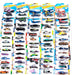 Hot Wheels Set of 65 Cars-Vehicles-Hot Wheels-Toycra