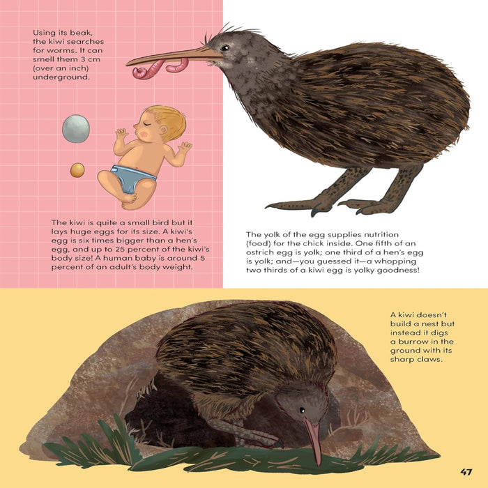 How Big? Animals-Encyclopedia-Sch-Toycra