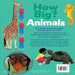 How Big? Animals-Encyclopedia-Sch-Toycra