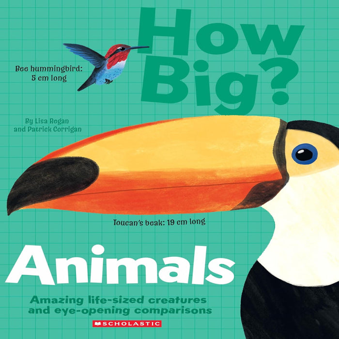 How Big? Animals-Encyclopedia-Sch-Toycra