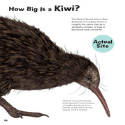 How Big? Animals