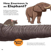 How Big? Animals