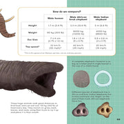 How Big? Animals