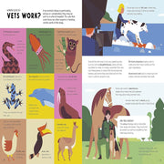 How To Be A Vet And Other Animal Jobs