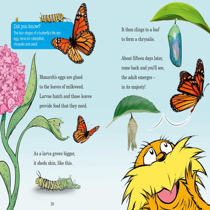 Hug A Bug-Picture Book-Hc-Toycra