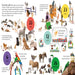 If The World Were 100 Animals-Encyclopedia-Hc-Toycra