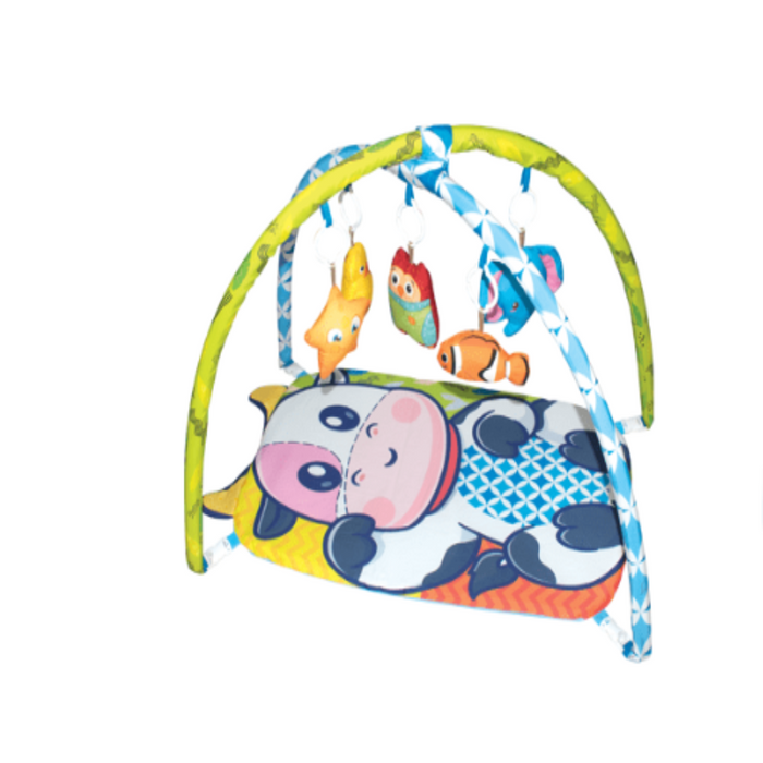 Itoys Baby Play Gym- Small-Mats, Gym & Activity-Itoys-Toycra