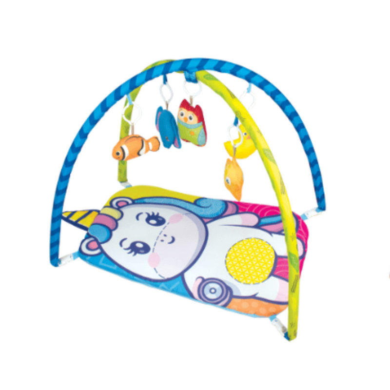 Itoys Baby Play Gym- Small