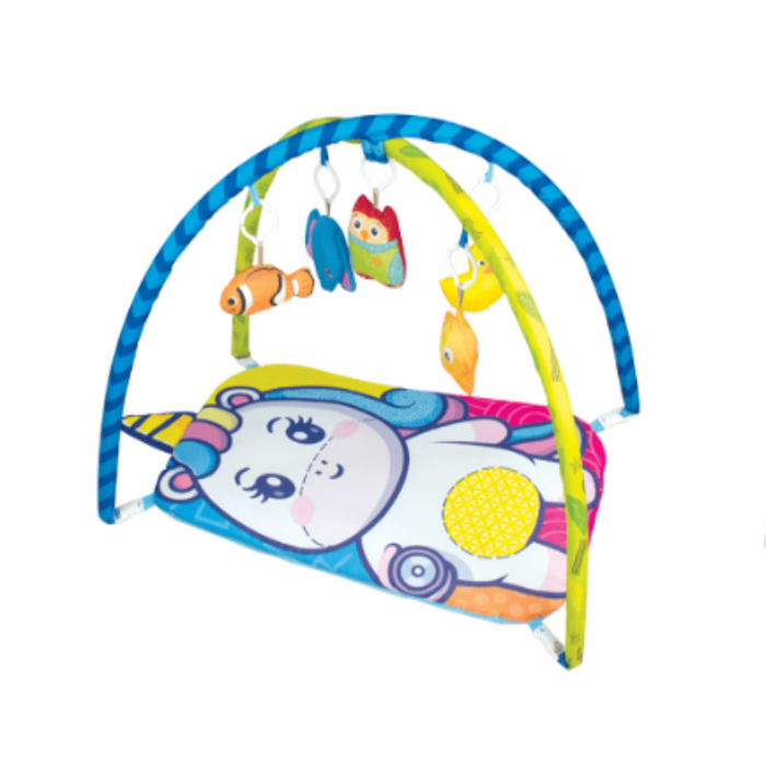 Itoys Baby Play Gym- Small-Mats, Gym & Activity-Itoys-Toycra