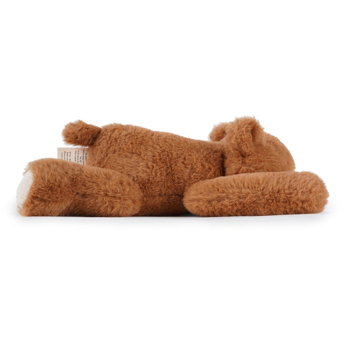 Jeannie Magic Baby Bear Brown-Soft Toy-Jeannie Magic-Toycra