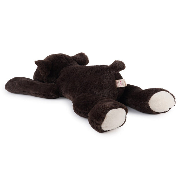 Jeannie Magic Baby Bear Chocolate-Soft Toy-Jeannie Magic-Toycra