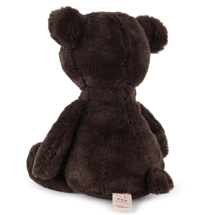 Jeannie Magic Choco Bear- dark brown cute and cuddly bear-Soft Toy-Jeannie Magic-Toycra