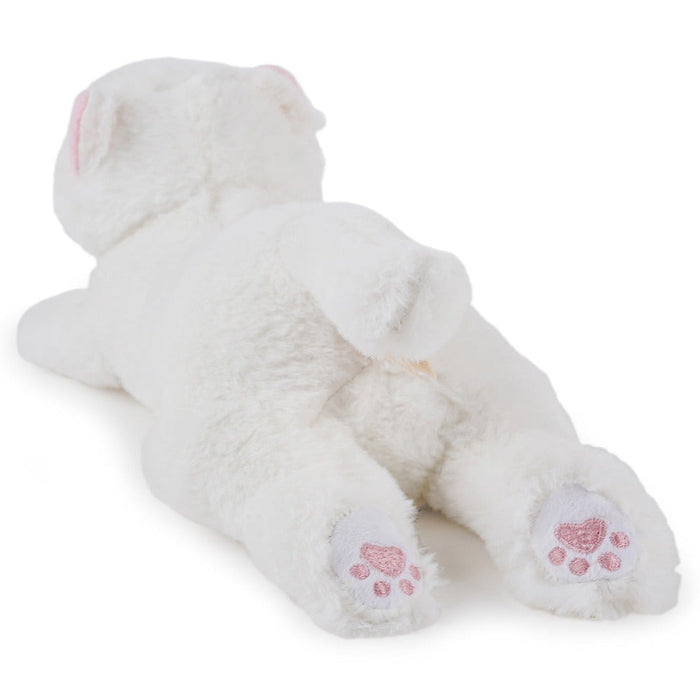 Jeannie Magic Vanilla Sleepy Cat - White-Soft Toy-Jeannie Magic-Toycra