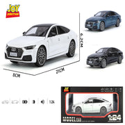 Joy Junction Alloy Die-Cast Pull Back Car Series - 1:24 scale