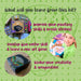 Kalakaram Paint Your Own Wild Dot Mandala Art Utility Box DIY Kit-Arts & Crafts-Kalakaram-Toycra