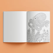 Kaleidoscope Colouring Books