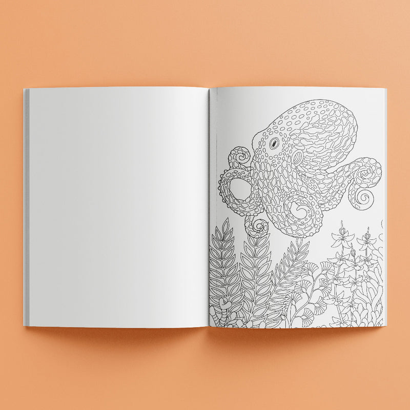 Kaleidoscope Colouring Books