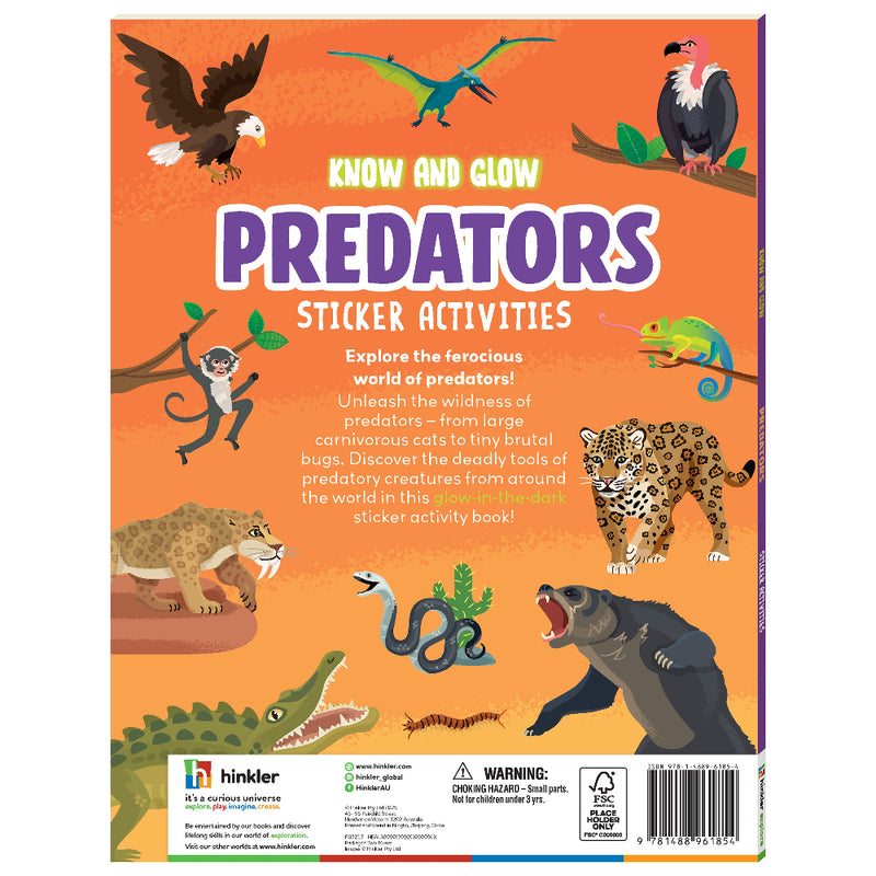 Know And Glow Sticker Activities Books