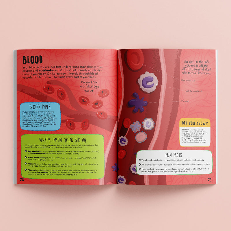 Know And Glow Sticker Activities Books