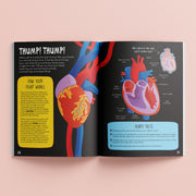 Know And Glow Sticker Activities Books