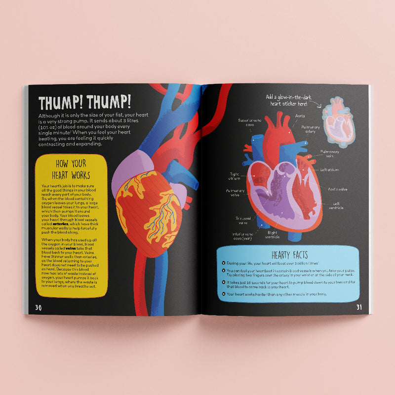 Know And Glow Sticker Activities Books