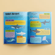 Know And Glow Sticker Activities Books