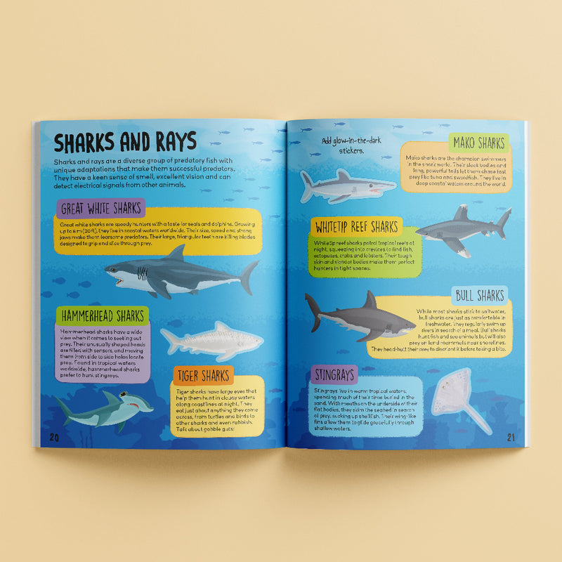 Know And Glow Sticker Activities Books