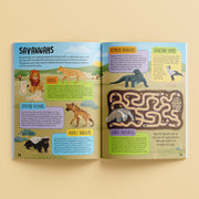 Know And Glow Sticker Activities Books