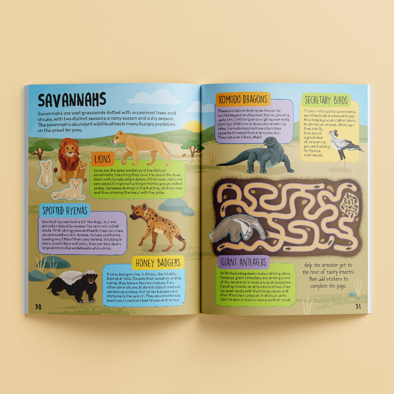 Know And Glow Sticker Activities Books