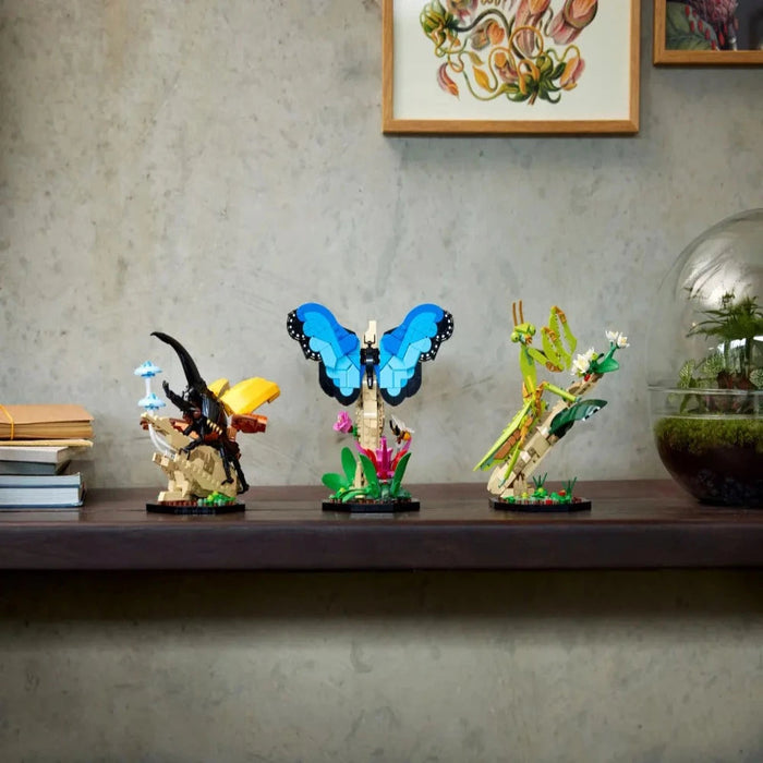 Lego Insect Collection Set LEGO 21342 Ideas The Insect Collection — Toycra