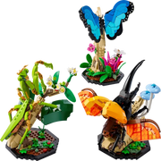 LEGO 21342 Ideas The Insect Collection