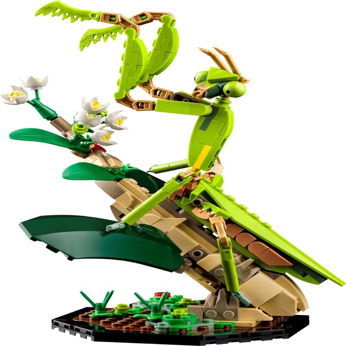 LEGO 21342 Ideas The Insect Collection-Construction-LEGO-Toycra
