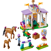 LEGO 41746 Friends Horse Training