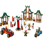 LEGO 71787 Ninjago Creative Ninja Brick Box