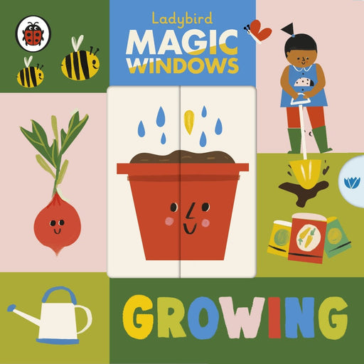 Ladybird Magic Windows