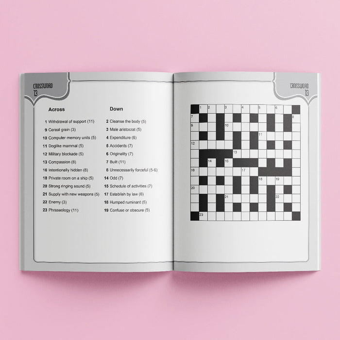 Large Print Puzzles-Activity Books-SBC-Toycra