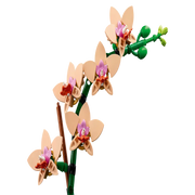 Lego 10343 Botanicals Mini Orchid (274 Pieces)