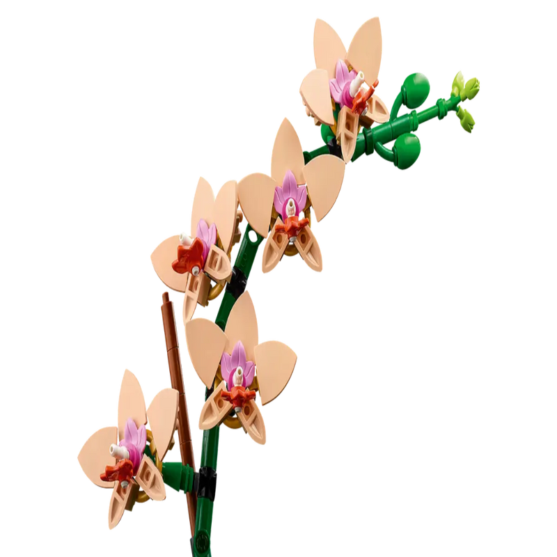 Lego 10343 Botanicals Mini Orchid (274 Pieces)