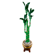 Lego 10344 Botanicals Lucky Bamboo (325 Pieces)