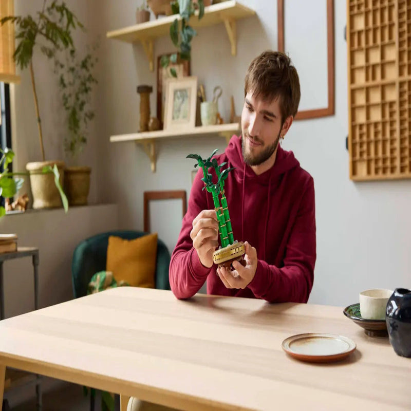 Lego 10344 Botanicals Lucky Bamboo (325 Pieces)