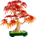 Lego 10348 Botanicals Japanese Red Maple Bonsai Tree (474 Pieces)-Construction-LEGO-Toycra