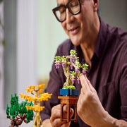Lego 10373 Botanicals Mini Bonsai Trees (709 Pieces)