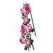 Lego 10374 Botanicals Bouquet Of Pink Roses (789 Pieces)-Construction-LEGO-Toycra