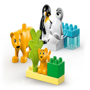 Lego 10442 Duplo Wild Animal Families Penguins & Lions (10 Pieces)