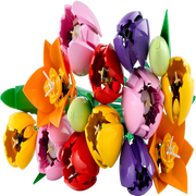 Lego 11501 Botanicals Tulip Bouquet (576 Pieces)