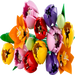 Lego 11501 Botanicals Tulip Bouquet (576 Pieces)-Construction-LEGO-Toycra