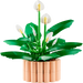 Lego 11504 Botanicals Peace Lily (474 Pieces)-Construction-LEGO-Toycra
