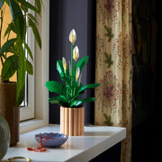 Lego 11504 Botanicals Peace Lily (474 Pieces)
