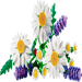 Lego 11508 Botanicals Daisies (133 Pieces)-Construction-LEGO-Toycra