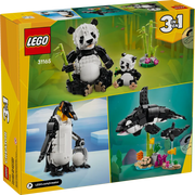 Lego 31165 Creator Wild Animals Panda Family (626 Pieces)